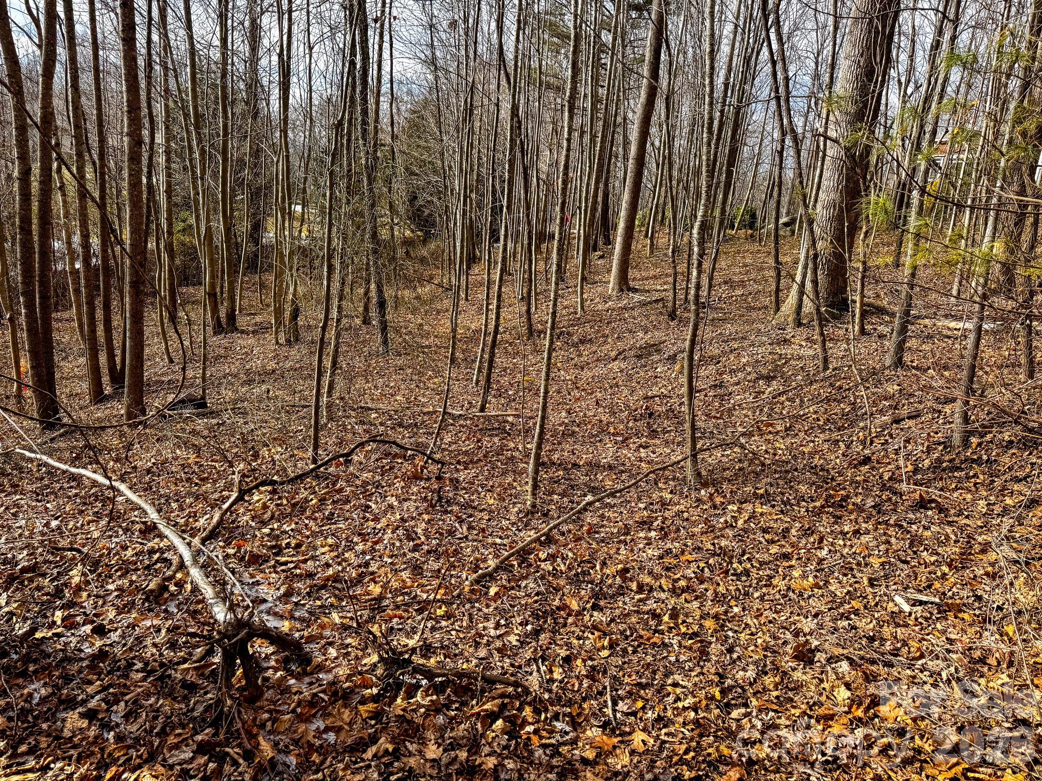 Somersby Park - Land