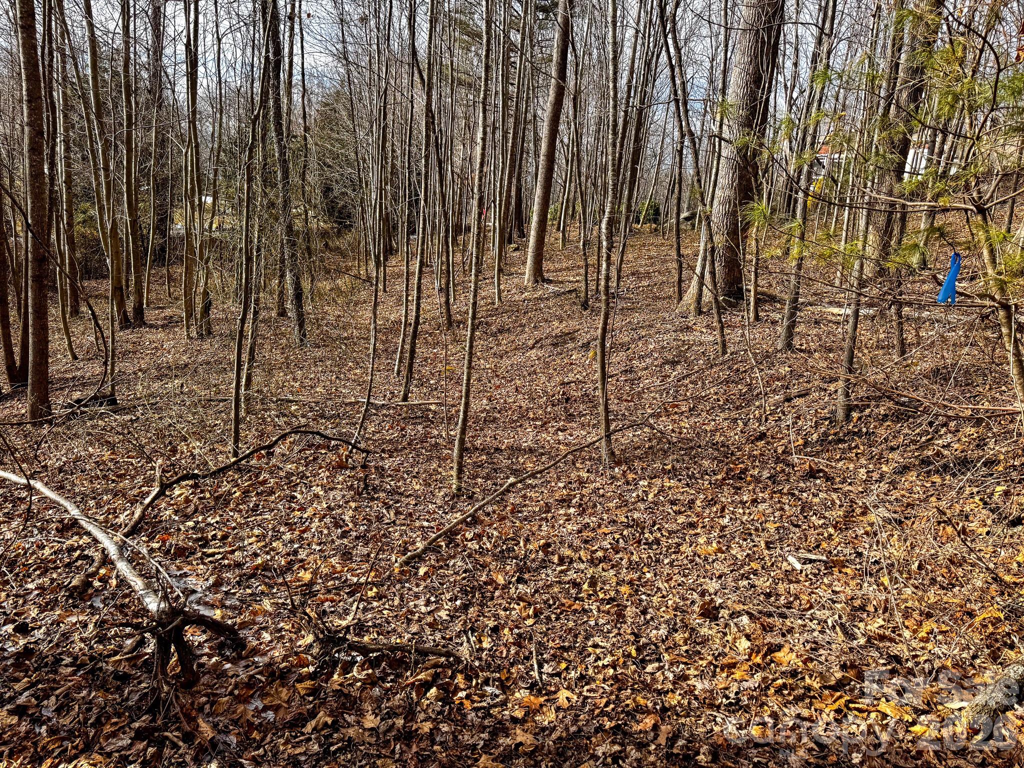 Somersby Park - Land