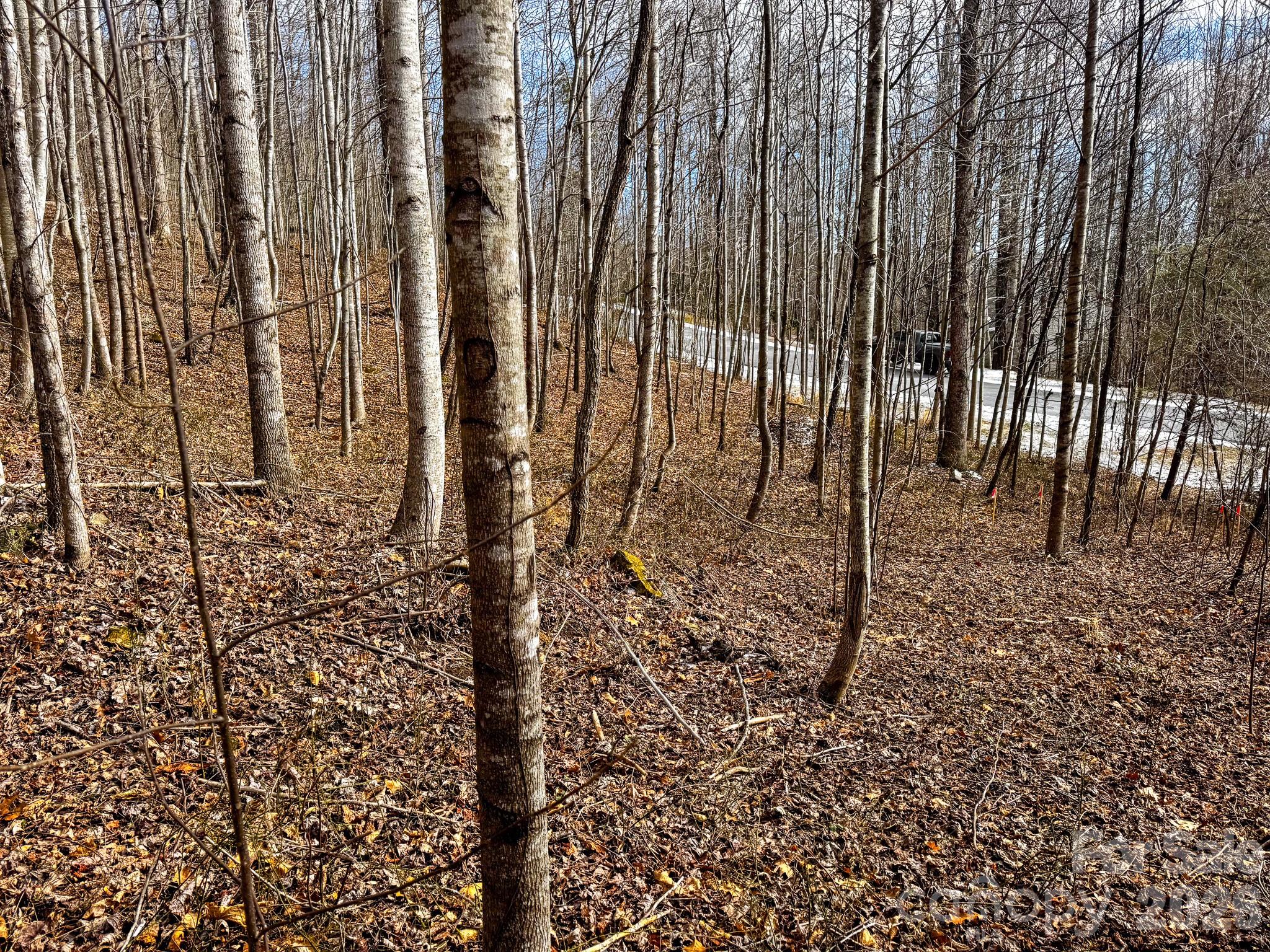 770 Somersby Parkway