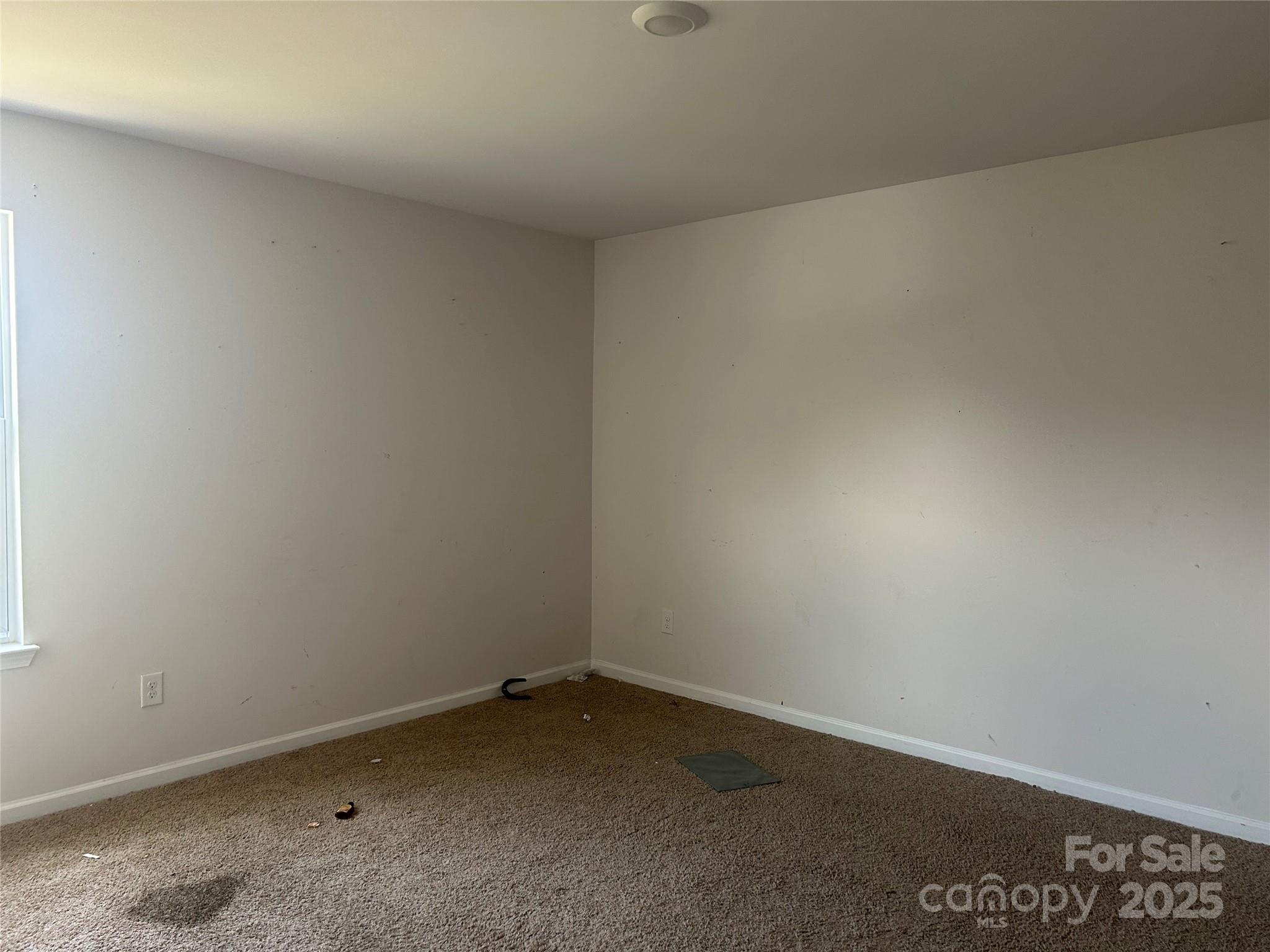 419 Burdock Lane