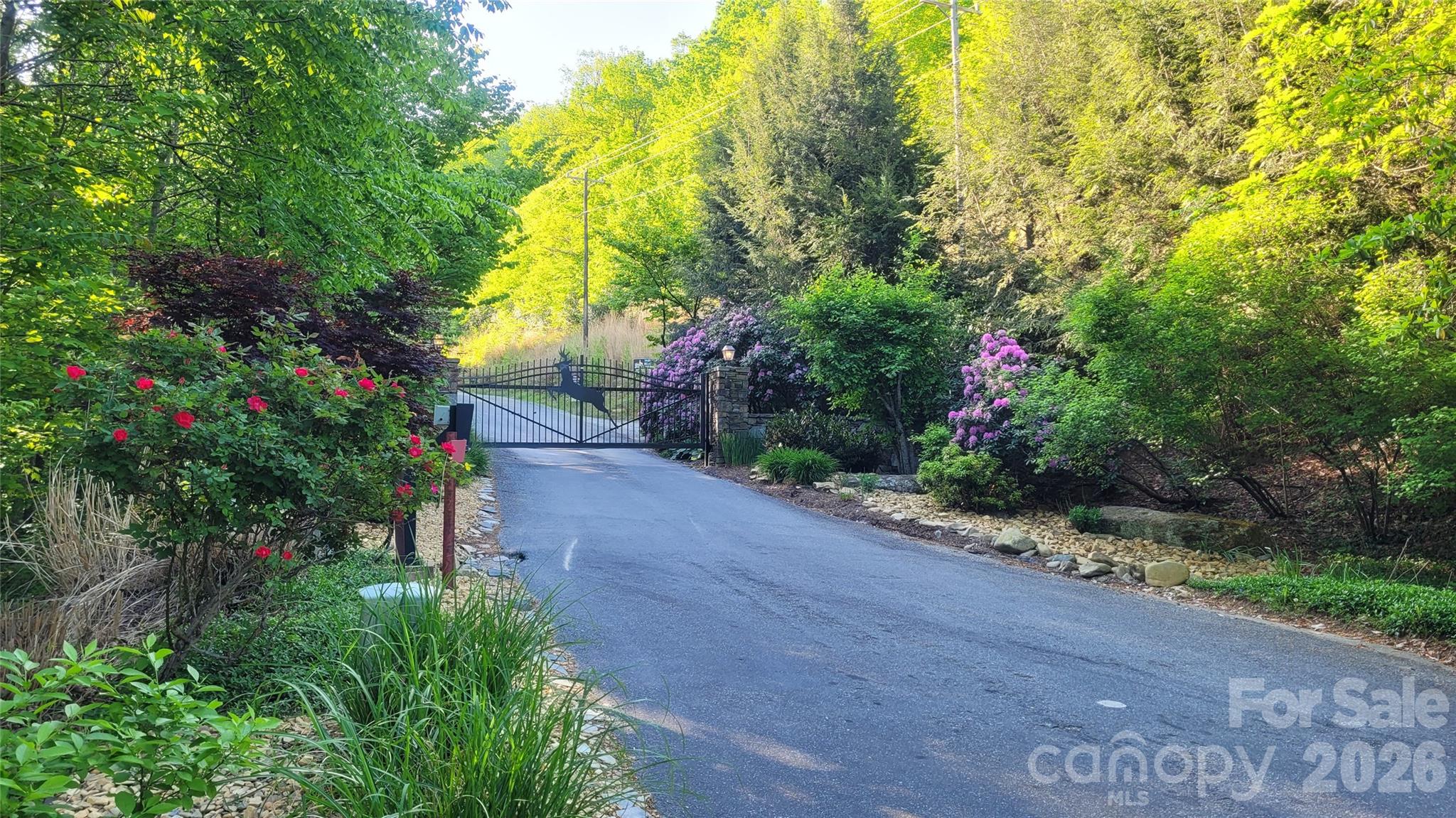 Gateway Mountain - Land