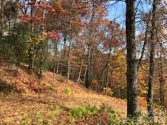 542 & 545A McKenzie Way S 542 & 545