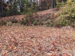 Gateway Mountain - Land