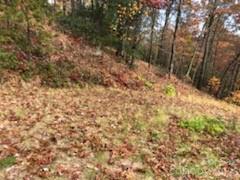 Gateway Mountain - Land