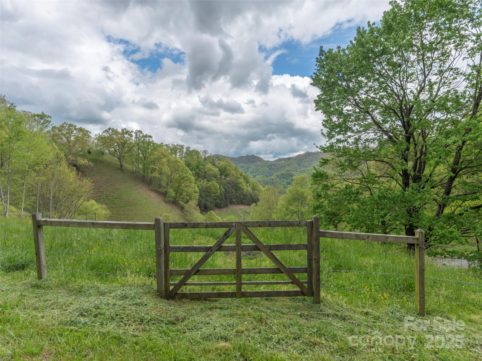 Rich Top Mountain - Land