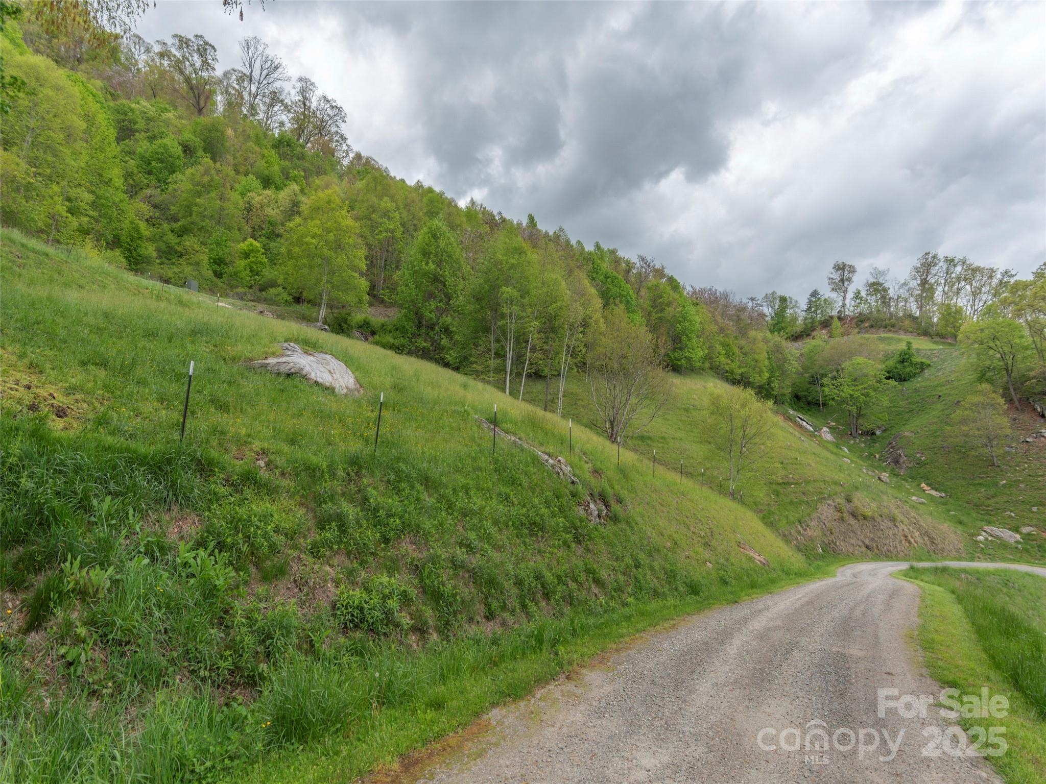 Rich Top Mountain - Land