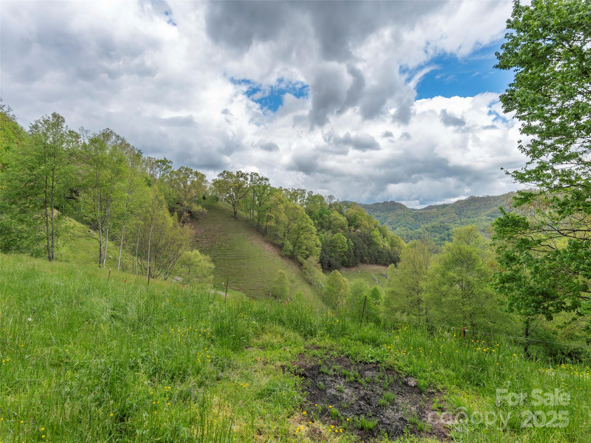 Rich Top Mountain - Land