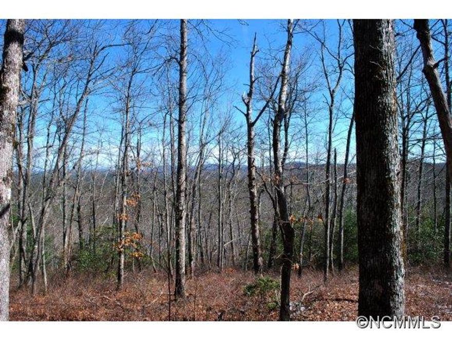 One of Stone's Lakes best kept secrets located near the back of the community this wonderful 13.57 acre parcel has it all. Follow the trail by the creek past large boulders and a moss covered granite dome to a gentle ridge covered in mature hardwoods with 180 degree long range mountain views.  Enjoy over 3000 foot elevation for cool summer days within a gated lake community, private home site with lake access rights mins from DuPont Forest. Priced below tax value