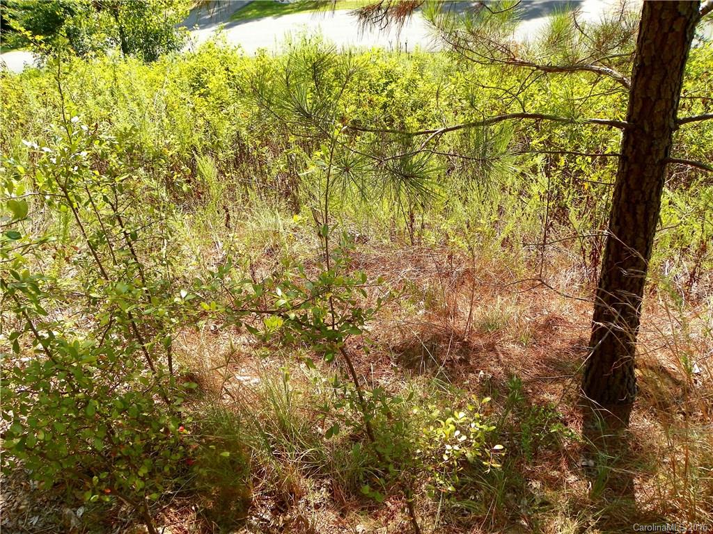 Catawba Crest - Land