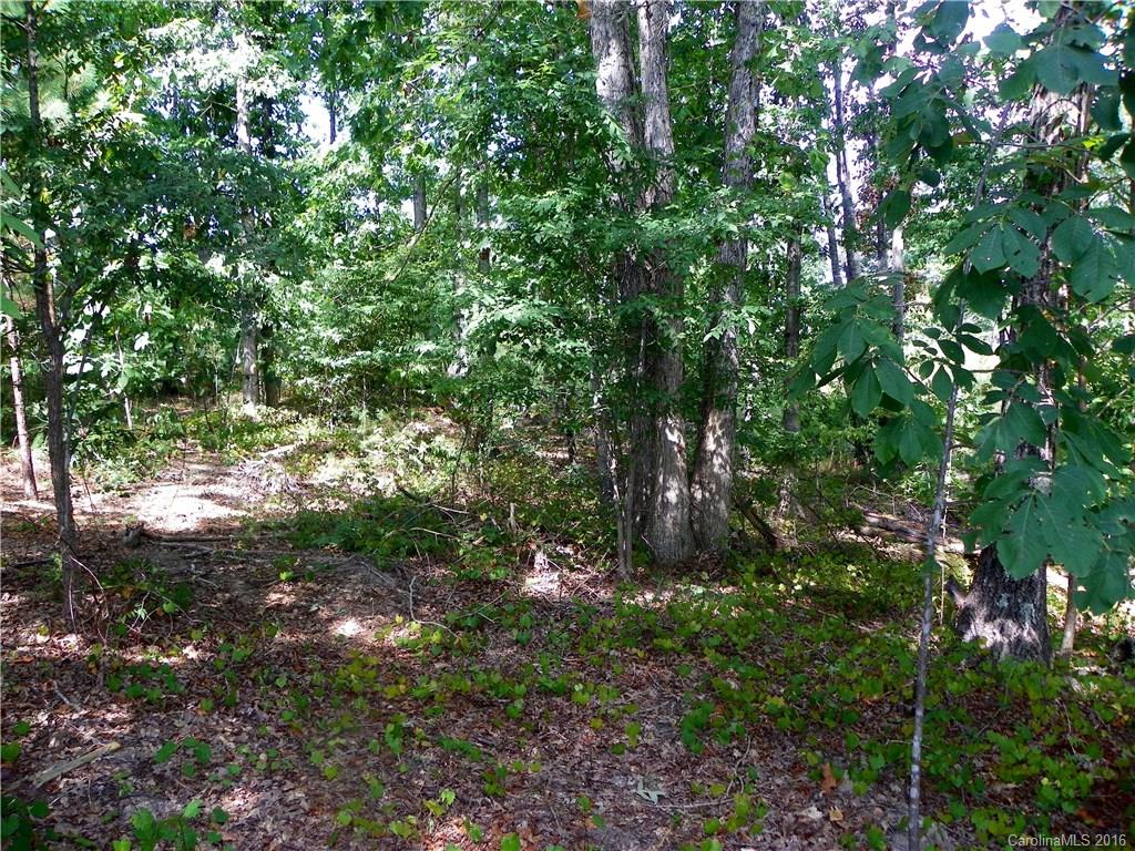 Catawba Crest - Land