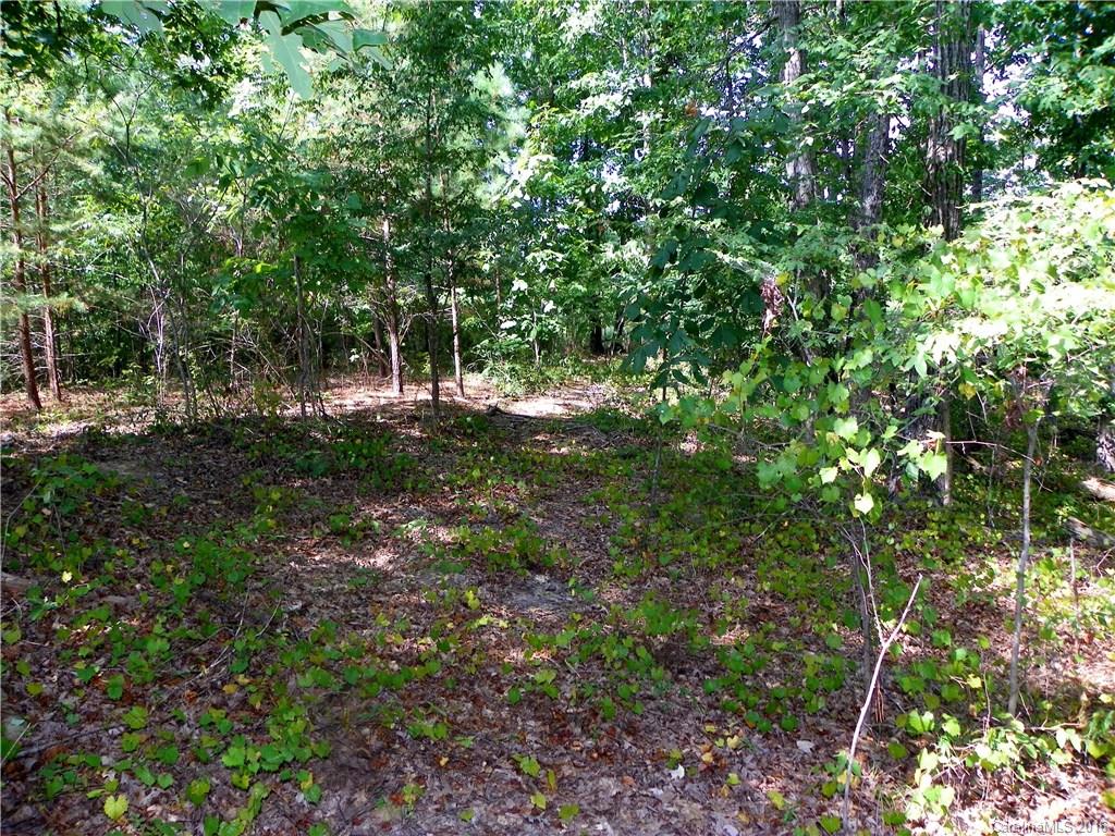 Catawba Crest - Land