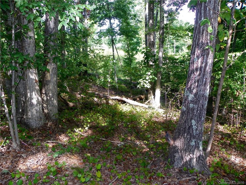 Catawba Crest - Land