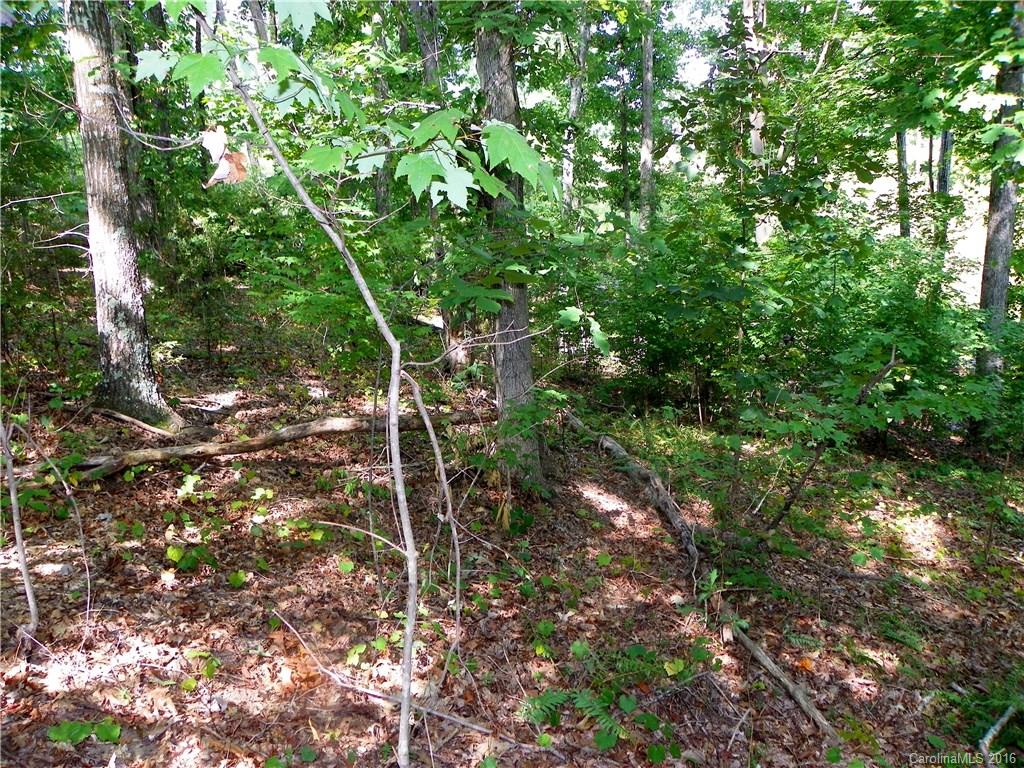 Catawba Crest - Land