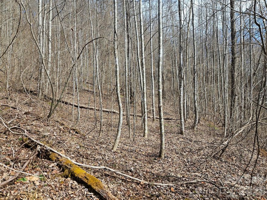 3 plus acres in the Balsam community off of Woodfin. Property will offer some beautiful mountain views with development and vegetation management. Access road will need to be developed to enter the heart of the property. Call listing agent for the details.