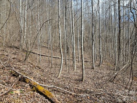 0 Woodfin Road Sylva NC 28779