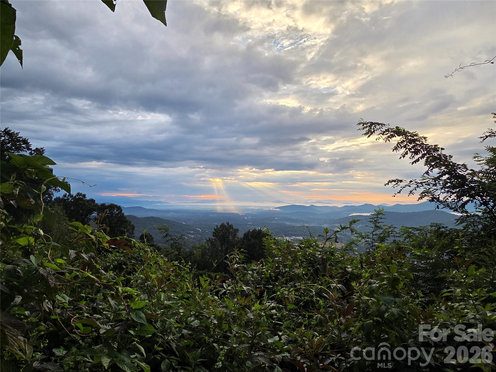 The Summit Of Asheville - Land
