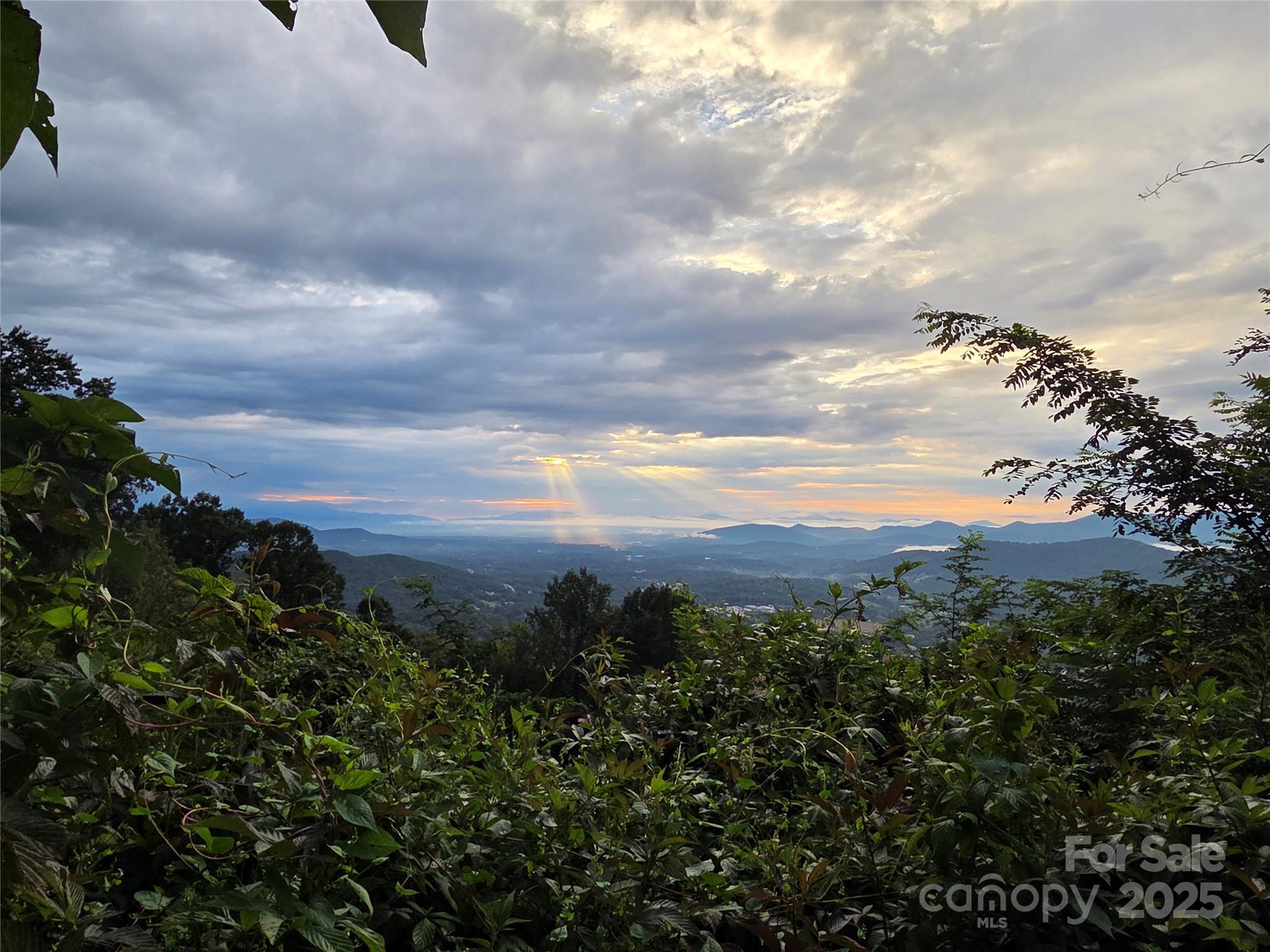The Summit Of Asheville - Land