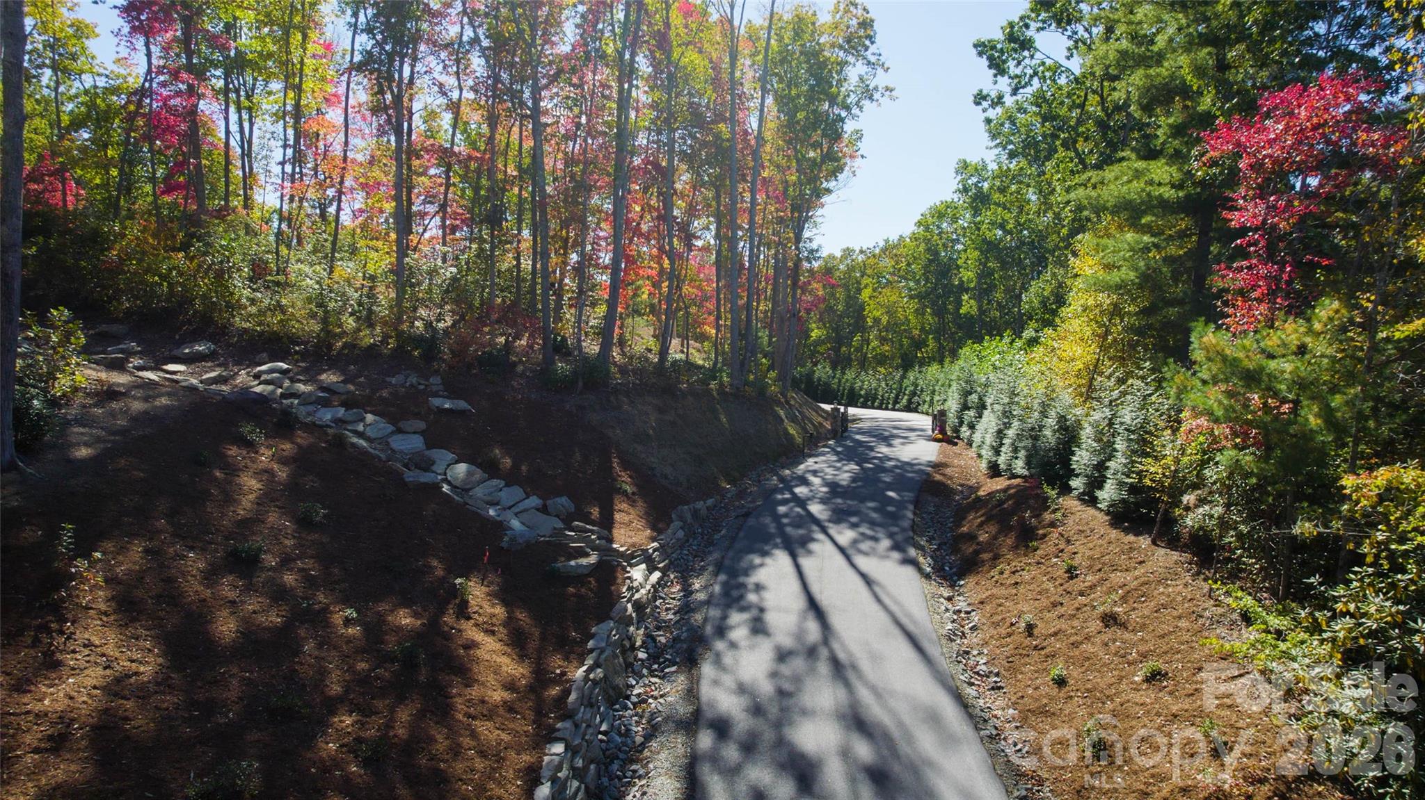 106 Skydance Trail 3