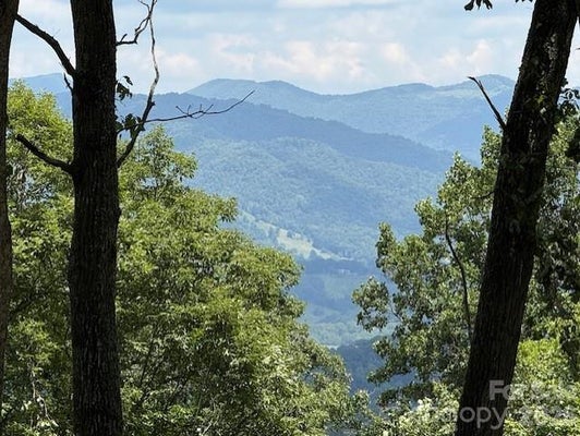 110 CABIN COVE RD, CLYDE, NC 28721 - Image 9083ed4d68e2afd8cd4f2df3fdcde35f/611223262