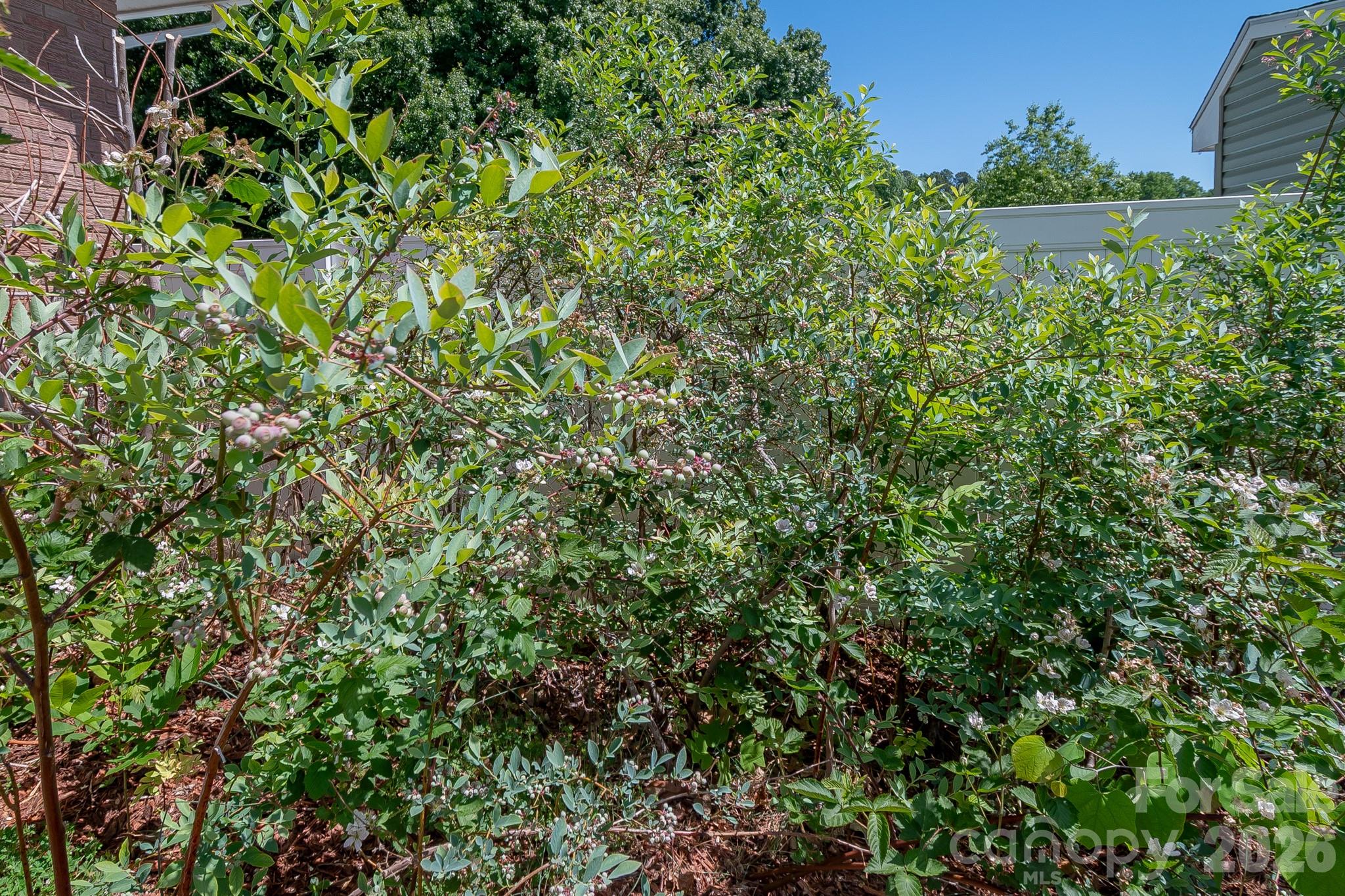 Highland Acres - Residential