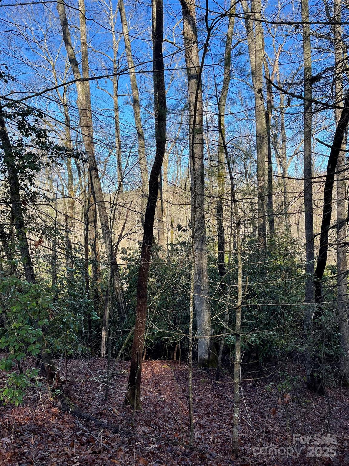 000 Old CCC Road