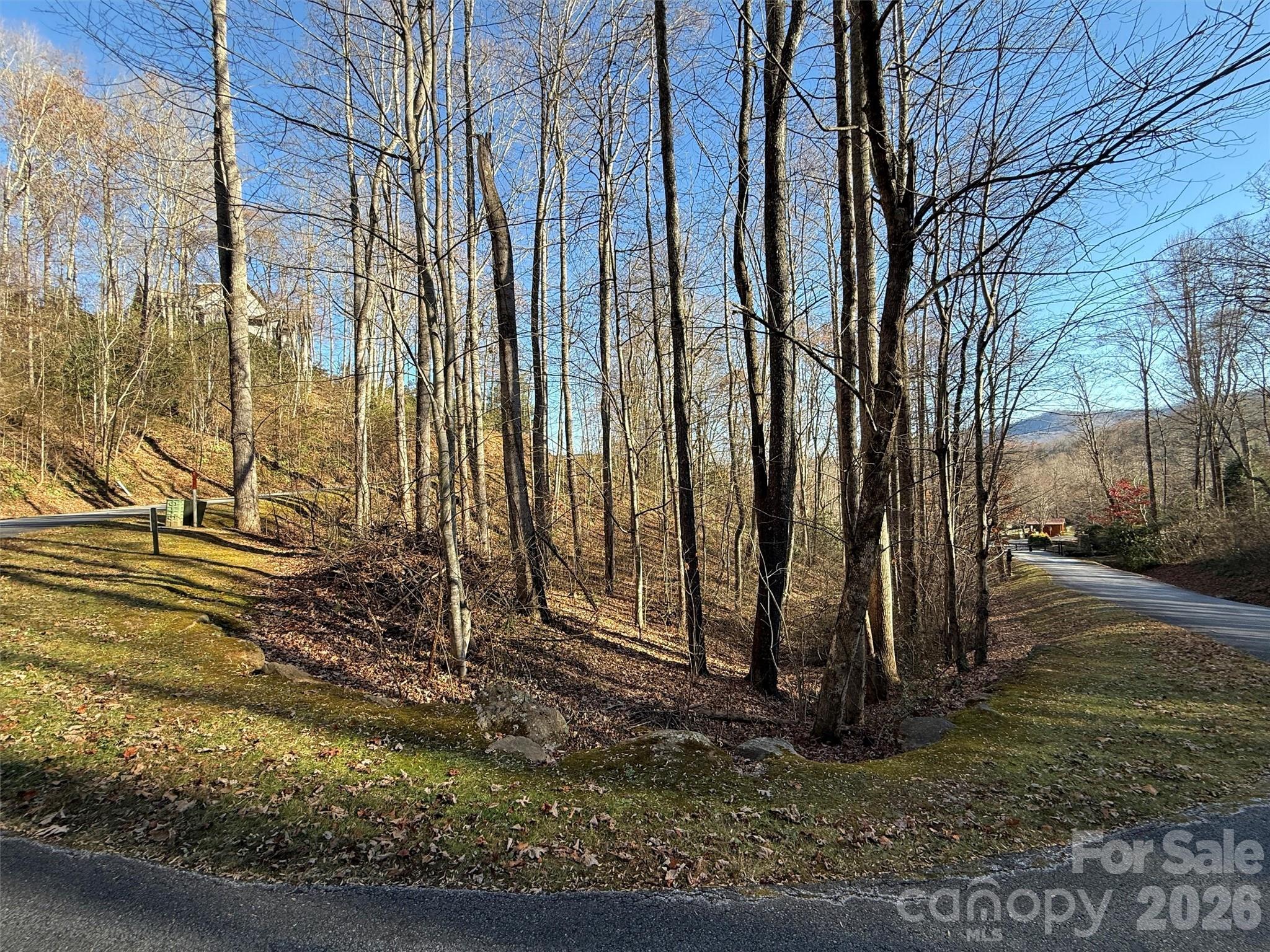 Mountain Watch - Land