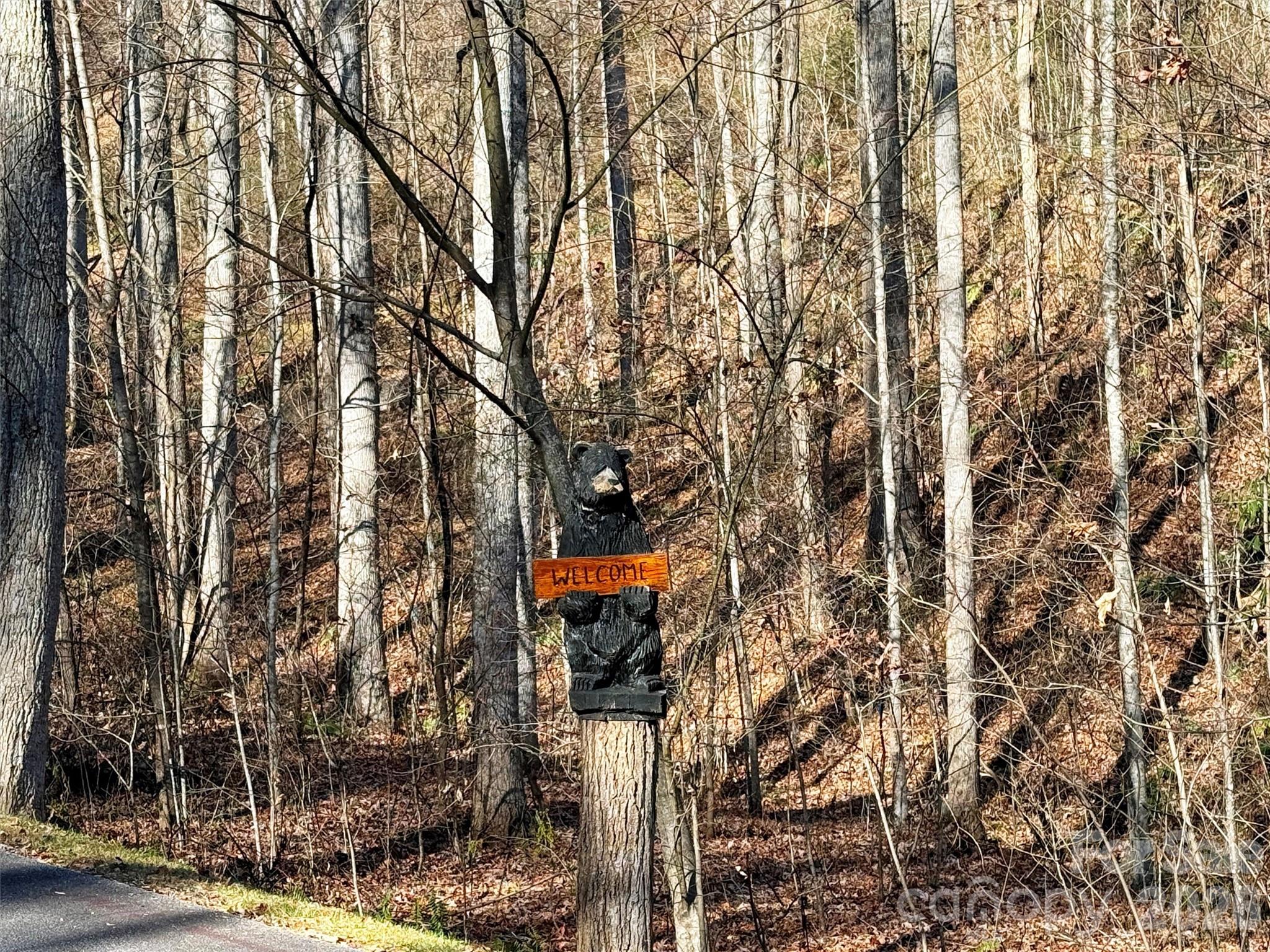 Mountain Watch - Land