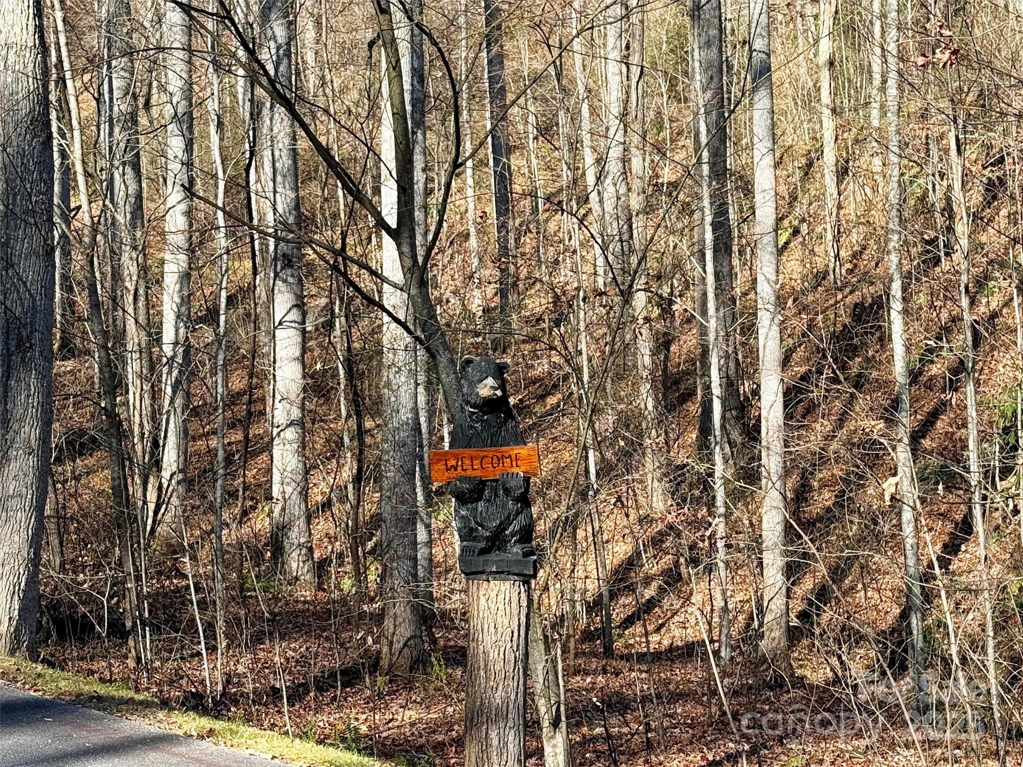 Mountain Watch - Land