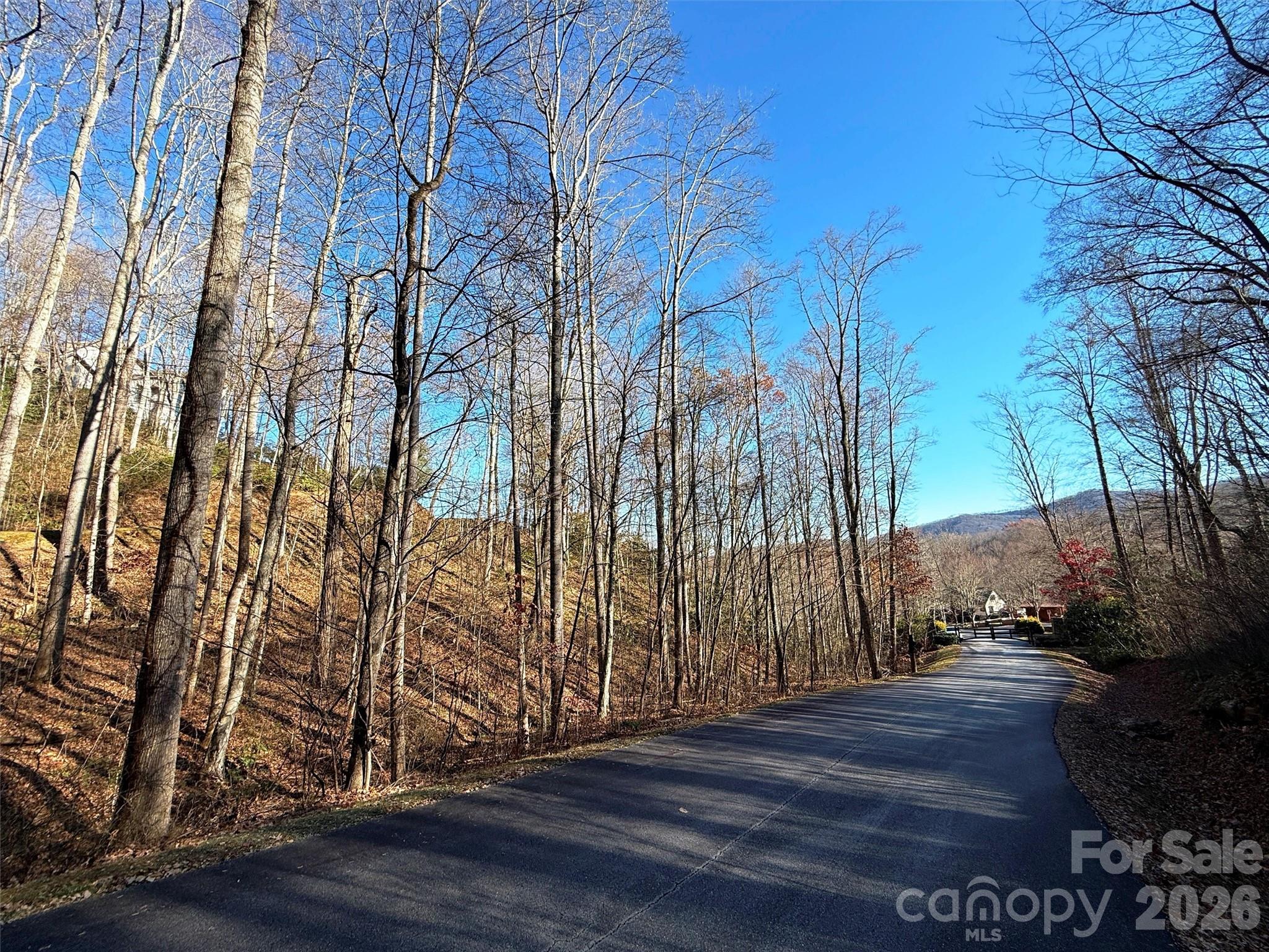 Mountain Watch - Land