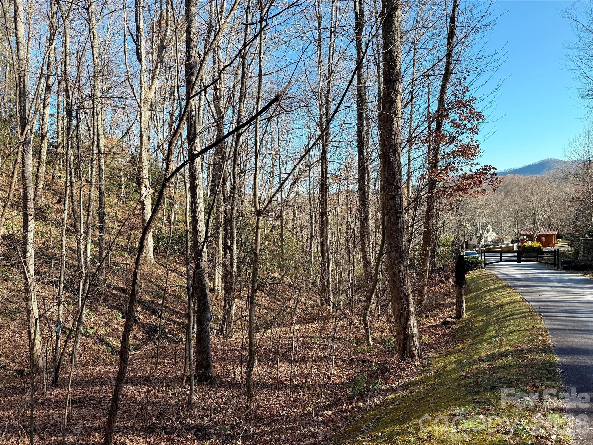 Mountain Watch - Land