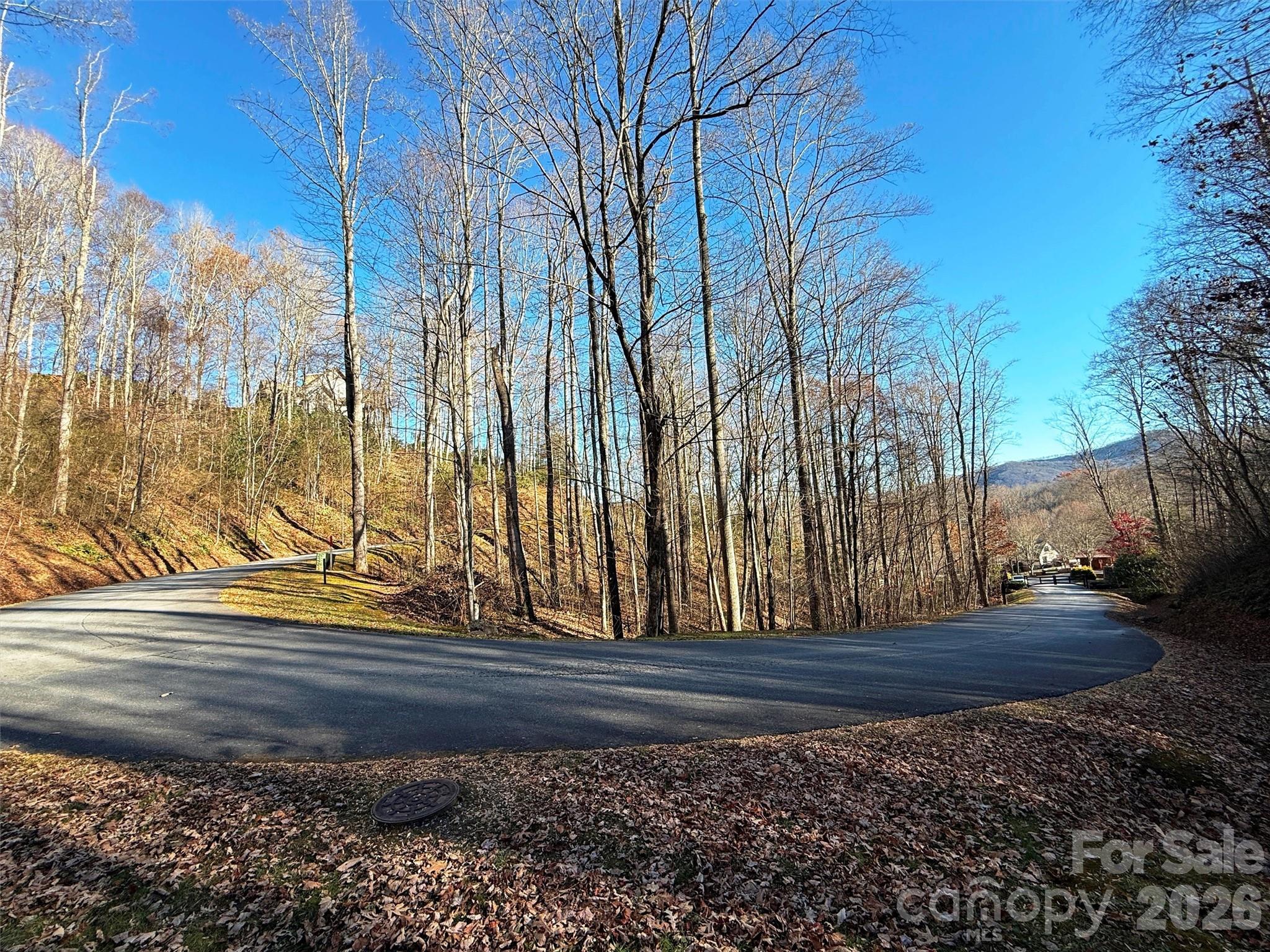 Mountain Watch - Land