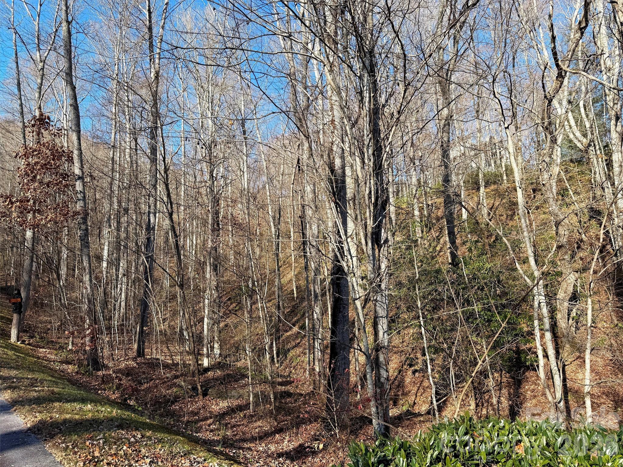 Mountain Watch - Land