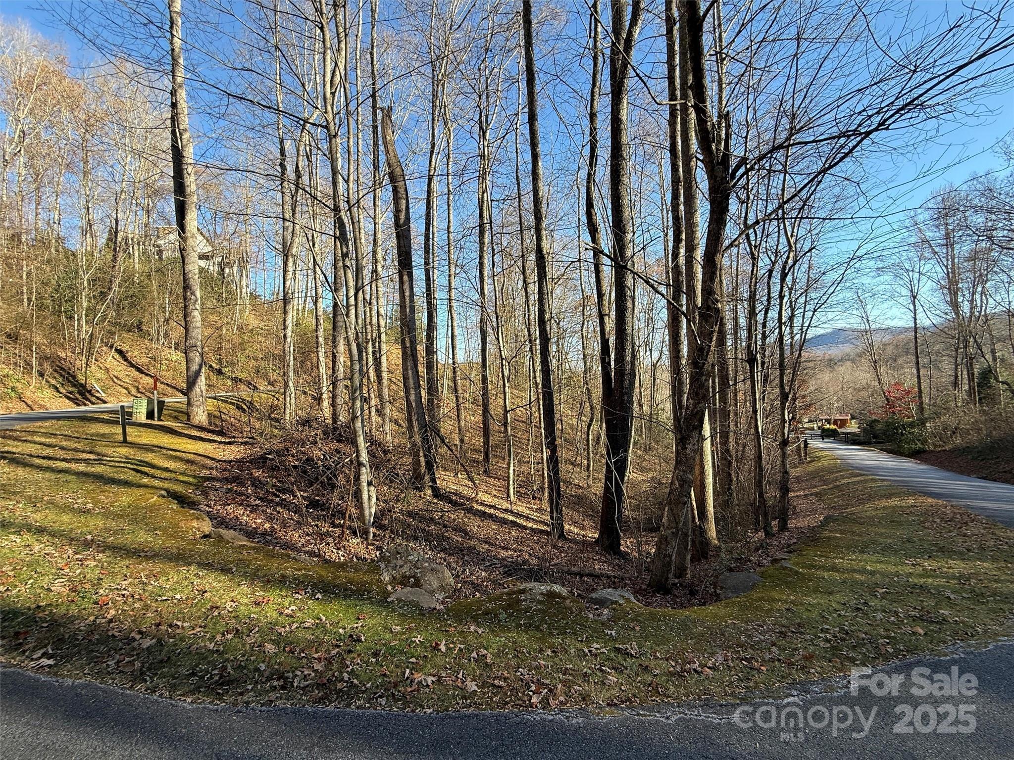 Mountain Watch - Land