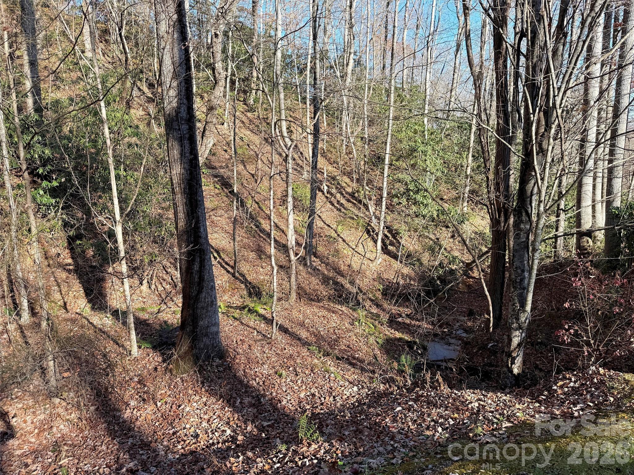 Mountain Watch - Land