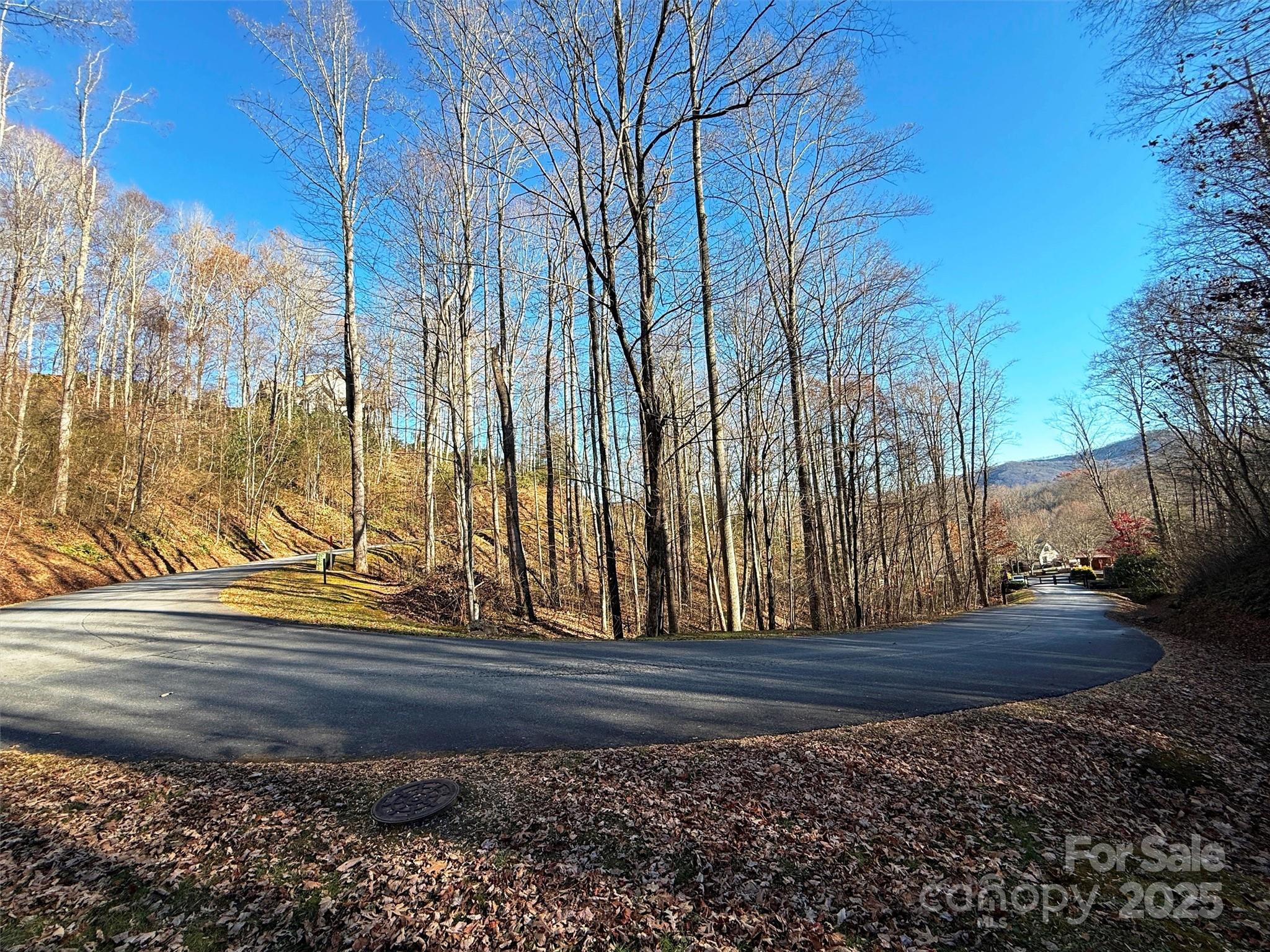 Mountain Watch - Land