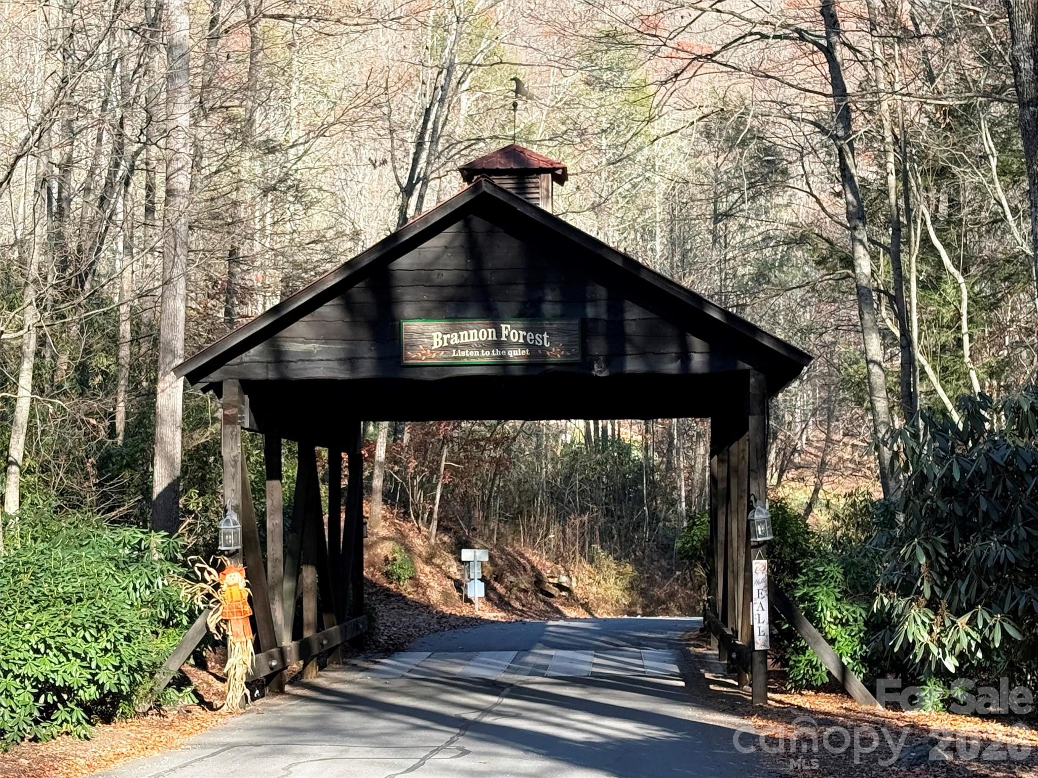 Mountain Watch - Land