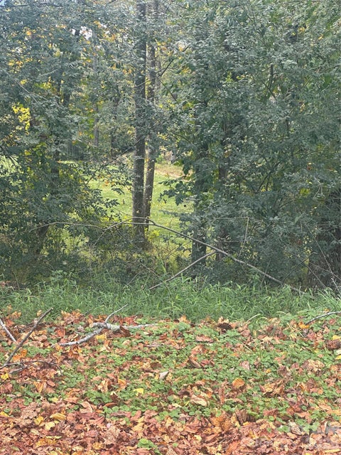 Photo of Lot 122 Friar Court #122, North Wilkesboro, NC 28659 (MLS # 4436677)