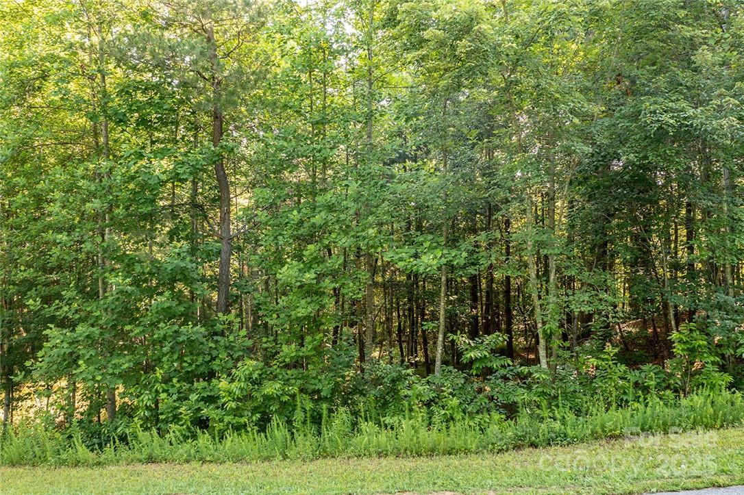 Crystal Falls - Land