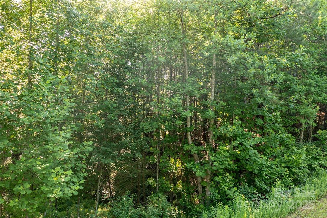 Crystal Falls - Land