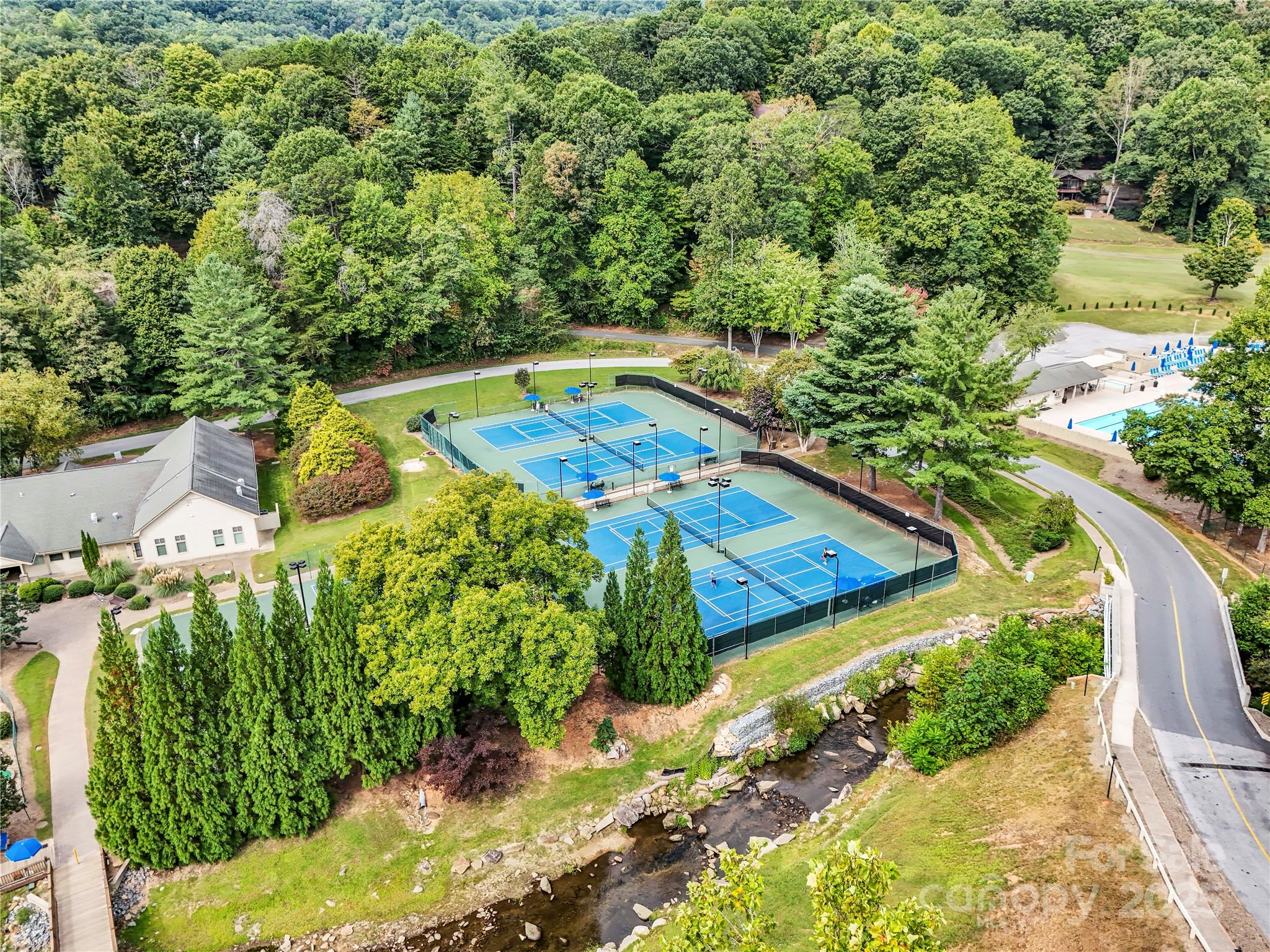 Rumbling Bald on Lake Lure - Land
