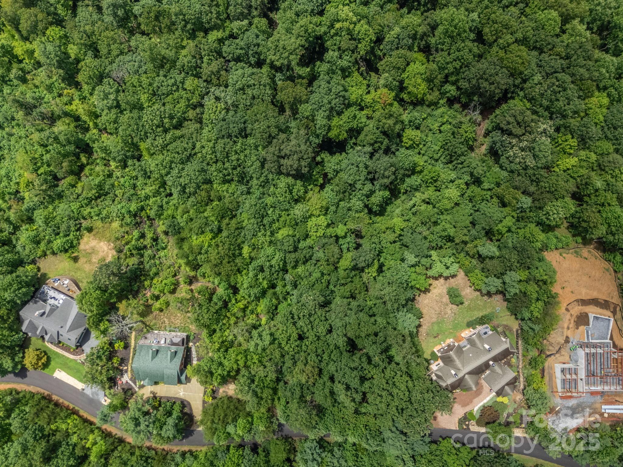 Rumbling Bald on Lake Lure - Land
