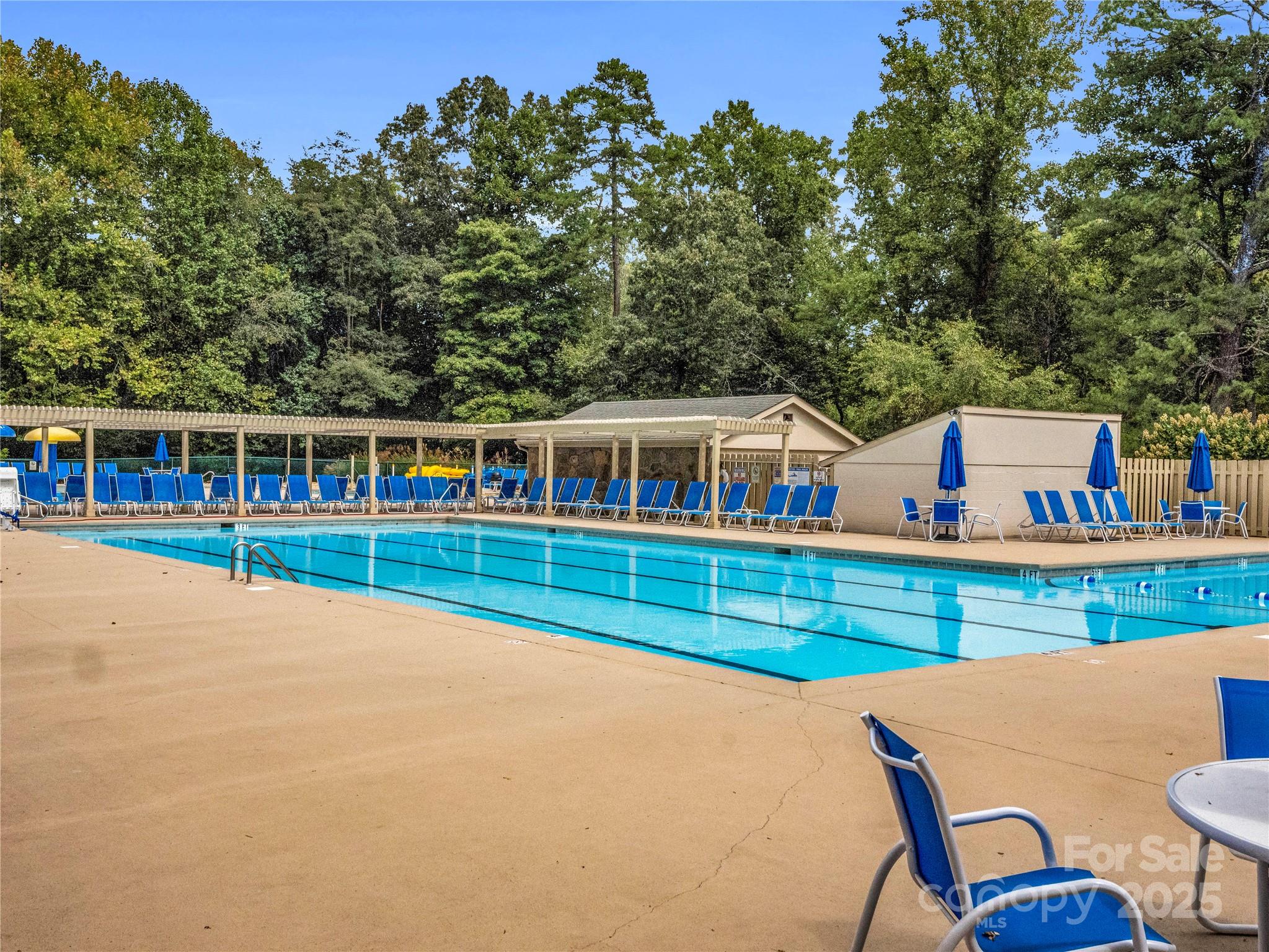 Rumbling Bald on Lake Lure - Land