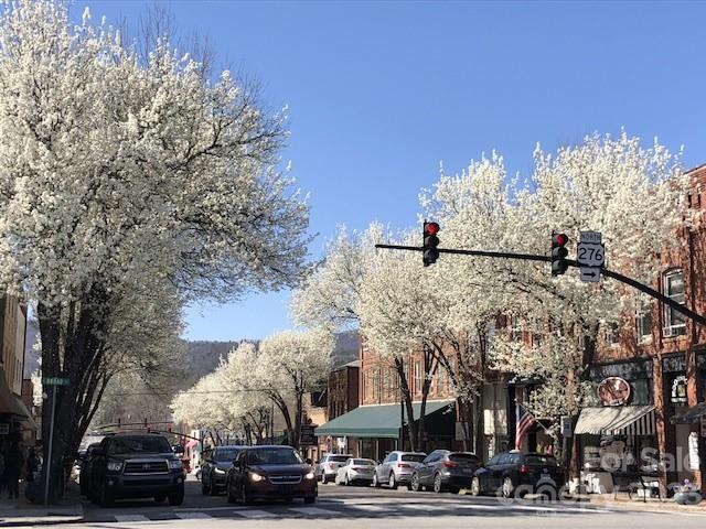 Deerlake Village - Land