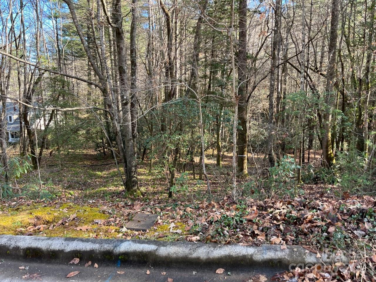 Deerlake Village - Land