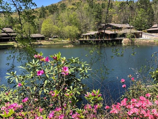 Deerlake Village - Land