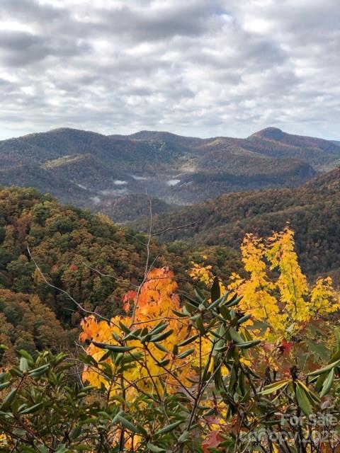 Deerlake Village - Land