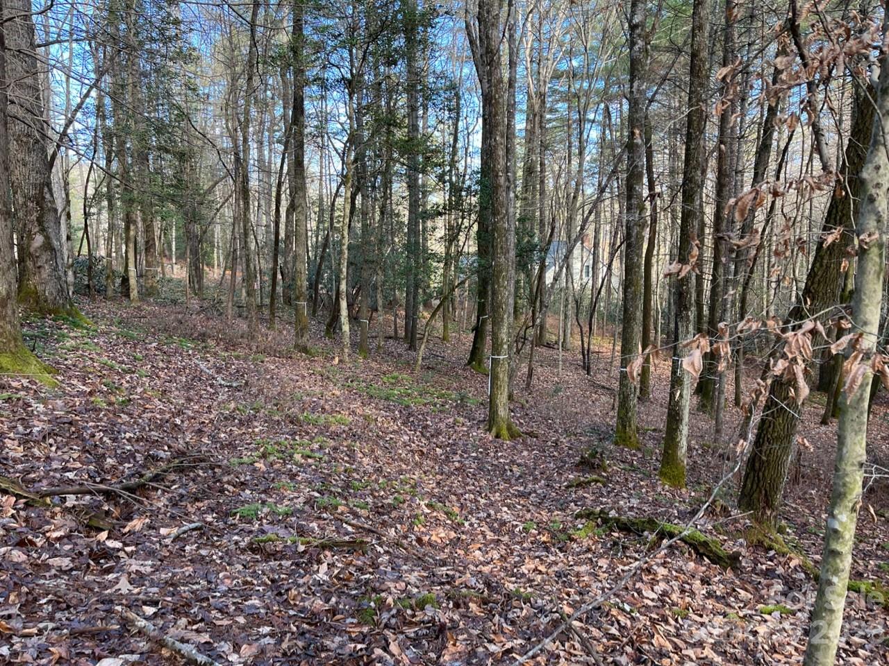 Deerlake Village - Land