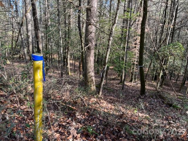 Deerlake Village - Land