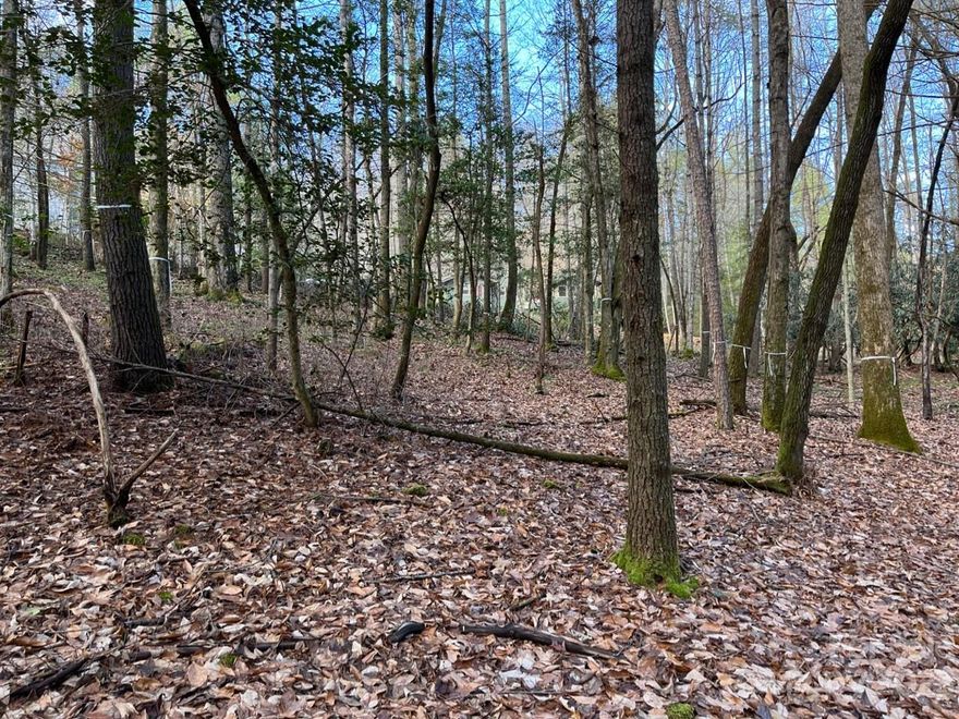 One of the few remaining lots in Deerlake Village! This wooded, .4 acre lot gently slopes down to a narrow creek. Cross the rustic bridge over the creek and hop on a short, 50 yard trail to the lake and boat ramp. Or continue on the trail around the lake to the clubhouse. Build your dream house and you'll be sure to enjoy the pool, clubhouse and friendly residents of this former boy's camp setting.  City water and sewer with tap fees. All within the city limits of Brevard, 5 min away. Low HOA dues of $650/yr. Come see this Neighborhood of quality homes! Min build 2,000 htd sqft. A lift pump will be required for this lot. Preliminary house plans for 2400 sq ft home are 90% complete. HOA does not allow fences or short term rentals (min 6 mo rental.) Lot 11 is directly across the street from a new construction home. Lot 11 has many trees marked with white ribbon around trunks. Sign on lot. Lot owner is responsible for maintaining rustic bridge across the creek. Lot being sold “as is”.