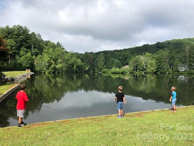 Deerlake Village - Land